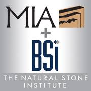 BSI